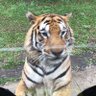 小涛 陈 profil fotoğrafı