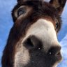 wauter's profile picture