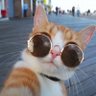 عبوود's profile picture