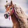 Фото профиля الغہيہد ♡