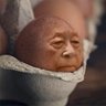 Eg profil fotoğrafı