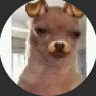 TheBracham's profile picture