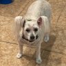 Profilbild von patty