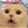 Profilbild von 猫叔讲故事