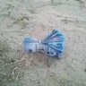 عبدالرزاق's profile picture