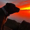 Ralph Rich profil fotoğrafı