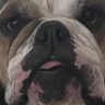 yt_turtlzz profil fotoğrafı