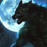 Midnight Wolf profil fotoğrafı