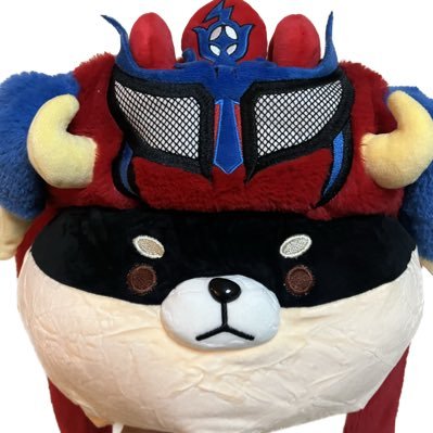 Tommy 🐕's profile picture