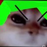 Vic profil fotoğrafı