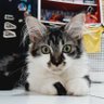Mimmooyyy profil fotoğrafı