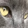 Profilbild von mariposo424