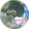 Profilbild von 🐕🧸🌺モッピー🌺🧸🐕
