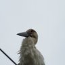 ひろみ profil fotoğrafı