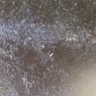 Magobatho profil fotoğrafı