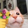 Фото профиля 🌷