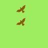 Asli Emotions's profile picture