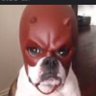 Brds's profile picture
