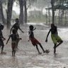 Tommy's profile picture