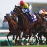 キングインパクト（競馬と絵とゲームと友達をこよなく愛する男！） 的头像