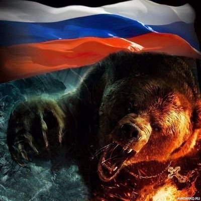 Александр жZл 🇷🇺's profile picture