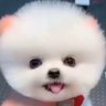 Profilbild von 迷你fun