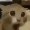 SPW@0111's profile picture