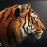 Profilbild von Game Dey 🐅