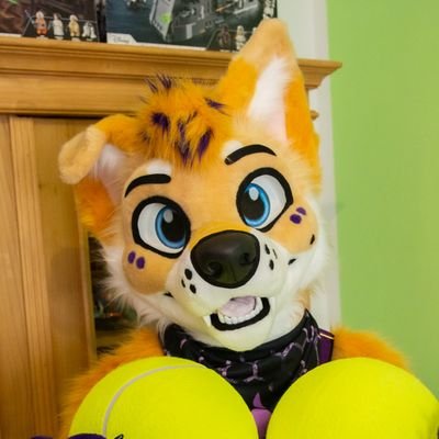 RyanTheHusky 🔜 EF, TFI, Animalz, NFC's profile picture