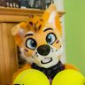 RyanTheHusky 🔜 EF, TFI, Animalz, NFC profil fotoğrafı