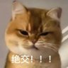 Profilbild von 真我永恆
