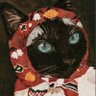 Profilbild von Misoso