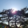 장대열's profile picture