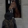 الهنوف القاسم 🐎 的头像