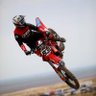Kyle Miller's profile picture