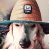 Profilbild von Old Panhandle Beach Goat