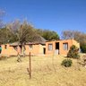 Fani Tshabalala 的头像