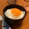なすび 的头像