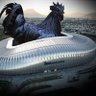 La Gallina del BBVA 🐔 的头像