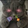 Пан Коцький profil fotoğrafı