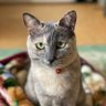 ひろちゃん profil fotoğrafı
