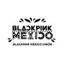 BLACKPINK MÉXICO UNIÓN (backup) 的头像