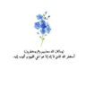 صَفـاء 的头像
