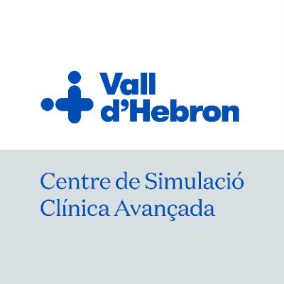 SimulacioVH's profile picture