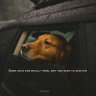 Фото профиля ItsJosh