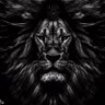 Фото профиля Liongang