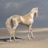 Фото профиля ali