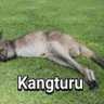 Hari profil fotoğrafı