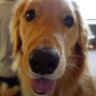 蟹ハ°ン's profile picture