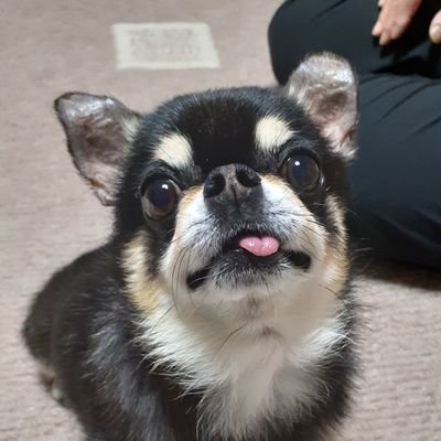 ぴらの's profile picture
